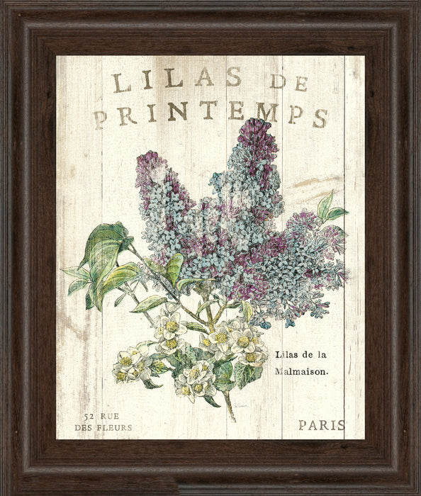 Lilas De Printemps By Sue Schlabach - White