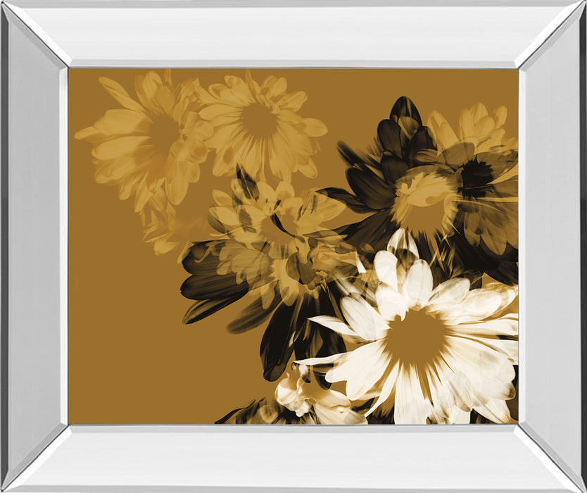 Golden Bloom Il By Mirror Framed Print Wall Art - Dark Brown