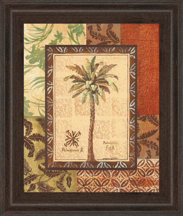 Palmaceae Il By Gregory Gorham - Framed Print Wall Art - Dark Brown