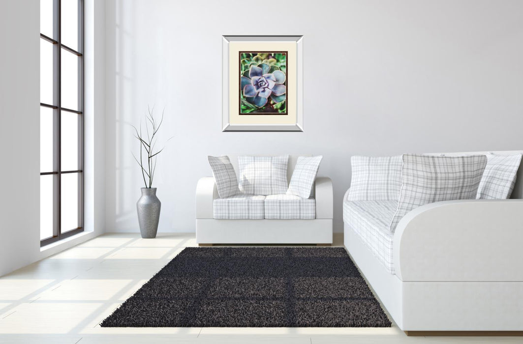 Succulence Beauty By Chelsea Kedron Mirrored Frame - Blue