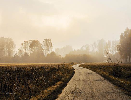 Country Road By Susan Ball (Small) - Light Brown