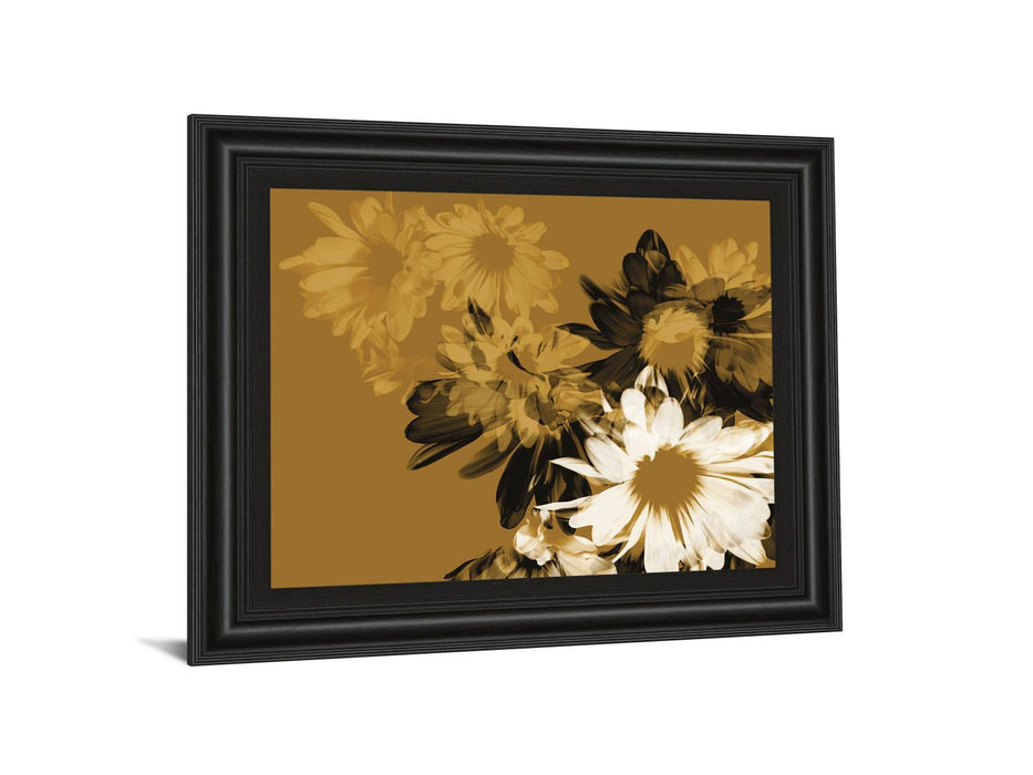 Golden Bloom Il By A. Project Framed Print Wall Art - Dark Brown