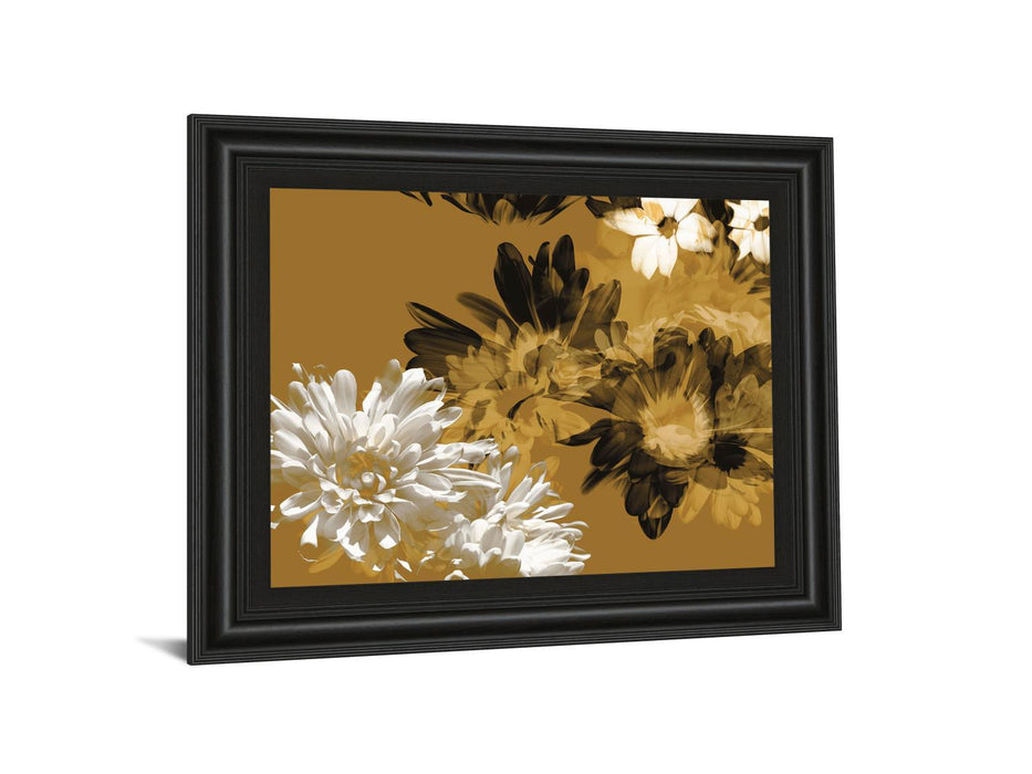 Golden Bloom I By Framed Print Wall Art - Dark Brown