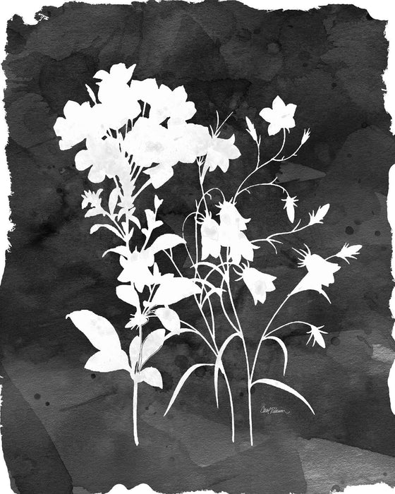 Small - Black Botanical II By Carol Robinson - Black