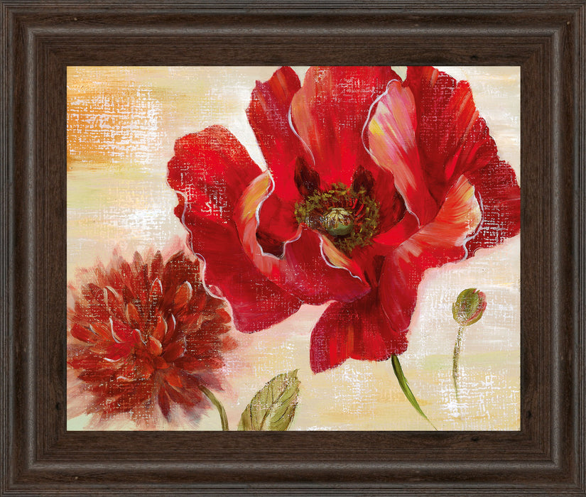 Passion For Poppies Il By Nan - Framed Print Wall Art - Red