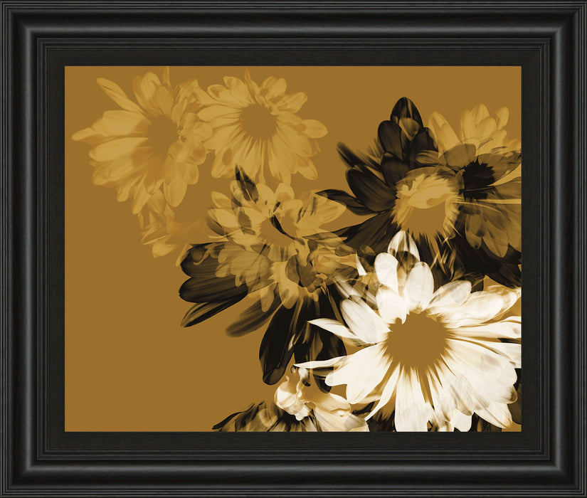 Golden Bloom Il By A. Project Framed Print Wall Art - Dark Brown