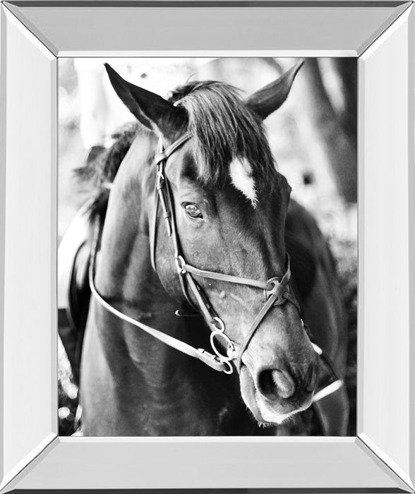 Derby I By Susan Bryant - Mirror Framed Print Wall Art - Black