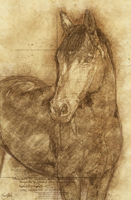 Small - Sketched Horse By Elizabeth Medley - Light Brown