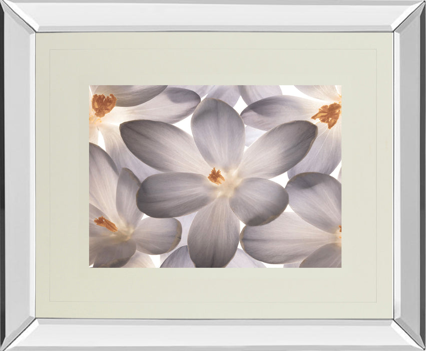 Petal Perfect By Assaf Frank - Mirror Framed Print Wall Art - Dark Gray