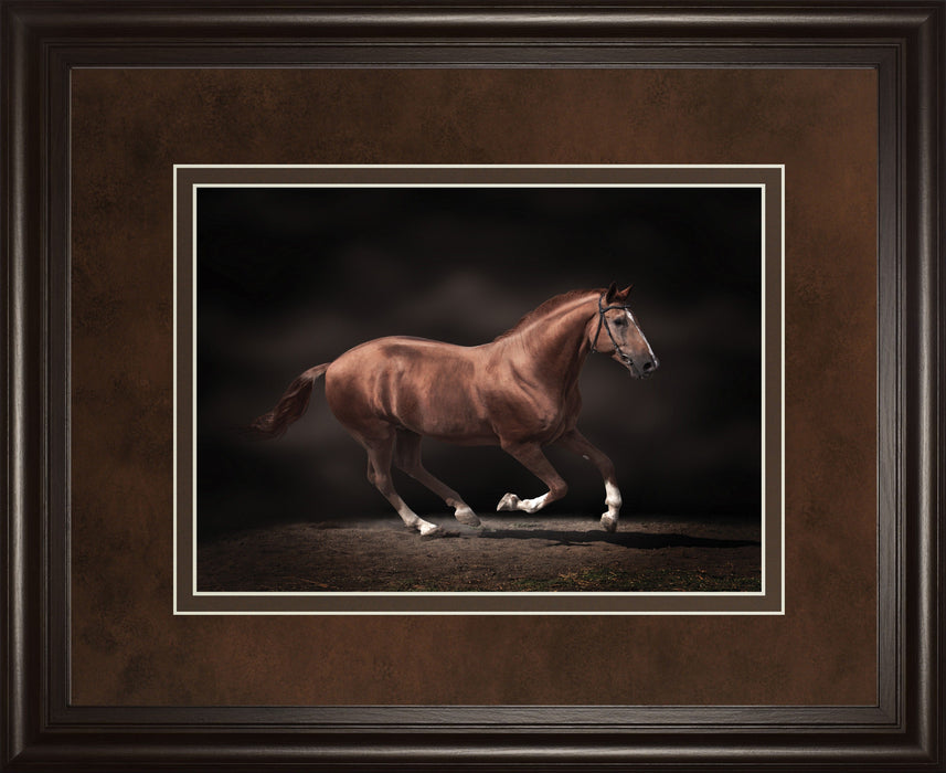 Stallion On Black By Edoma Photo - Framed Print Wall Art - Dark Brown