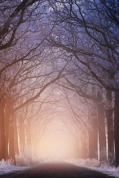 Warm And Cold By Martin Podt (Framed) (Small) - Blue