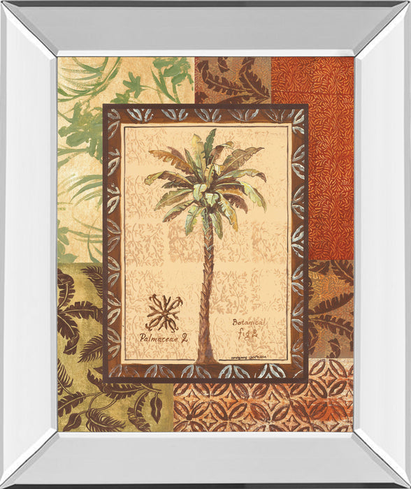 Palmaceae Il By Gregory Gorham - Mirror Framed Print Wall Art - Dark Brown