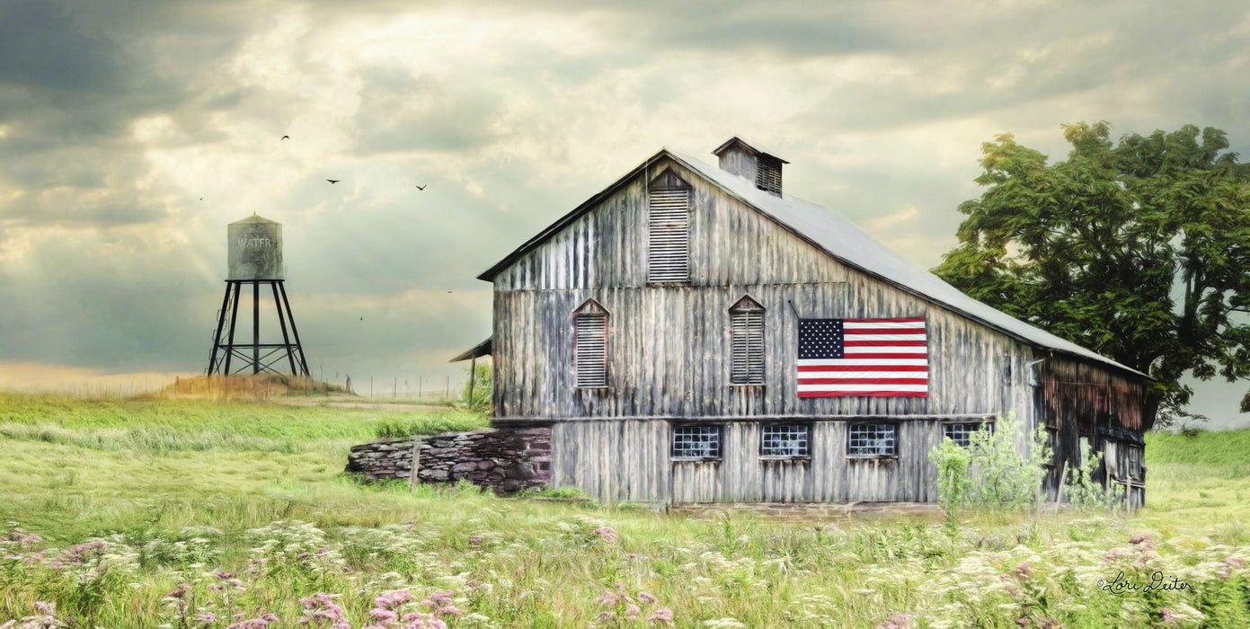 Framed Small - Rural Virginia Barn By Lori Deiter - Green