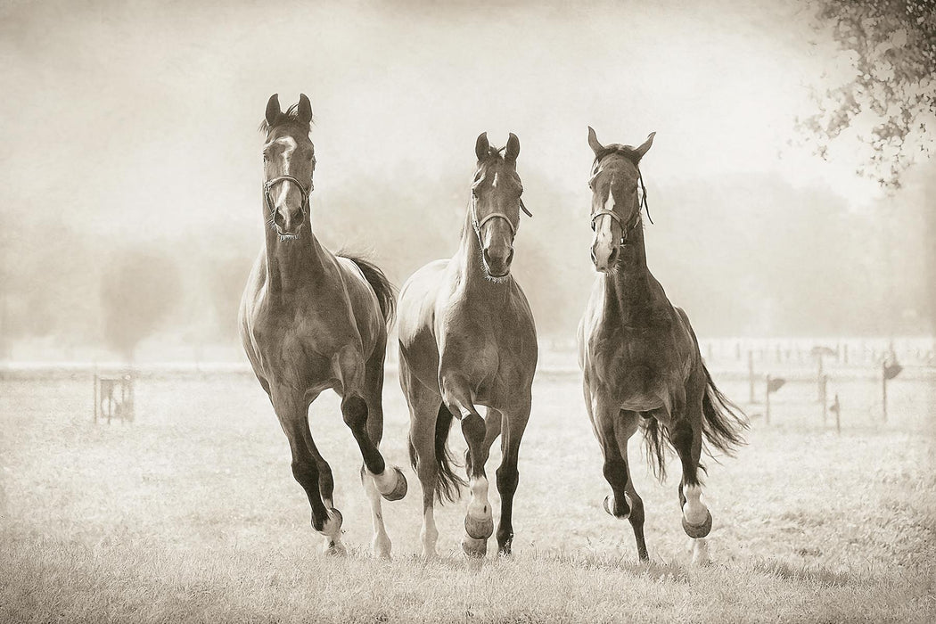 The Young Ones By Lars Van De Goor - Blue